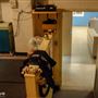Regina Public Library - Film Theatre