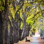 Kinsmen Park