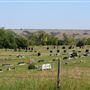 Lakeview Cemetery