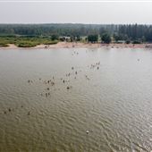 Good Spirit Lake Provincial Park