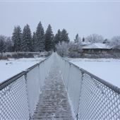 Wolseley Swinging Bridge