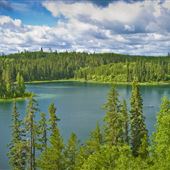 Great Blue Heron Provincial Park