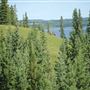 Meadow Lake Provincial Park