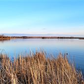 Thomson Lake Regional Park