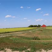 Abandoned Farm