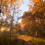 Hiking Trail