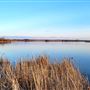 Thomson Lake Regional Park