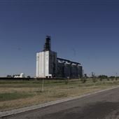 Grain Elevator - Indian Head