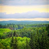 Moose Mountain Provincial Park