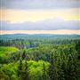 Moose Mountain Provincial Park