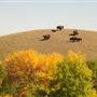 Buffalo Pound Provincial Park