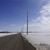 Pinkie Road - Regina