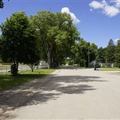 Lumsden Ball Diamond