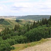 Cypress Hills Interprovincial Park