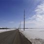 Pinkie Road - Regina