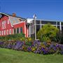 Berry Barn