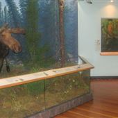 Royal Saskatchewan Museum