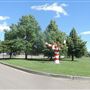Candy Cane Park