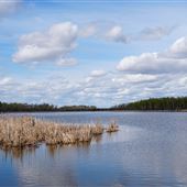 Ravine Ecological Preserve