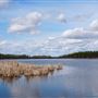Ravine Ecological Preserve