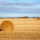 Prairie Plains