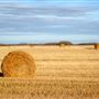 Prairie Plains